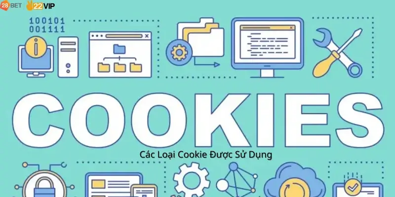 Các Loại Cookie 28Bet Được Sử Dụng
