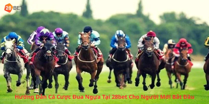 Hướng Dẫn Cá Cược Đua Ngựa Tại 28bet Cho Người Mới Bắt Đầu
