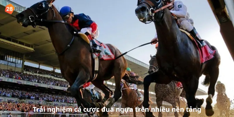 Hướng dẫn cách cá cược đua ngựa tại 28bet app